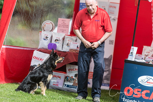 118_HebdenHappyHounds2016_bluplanetphoto