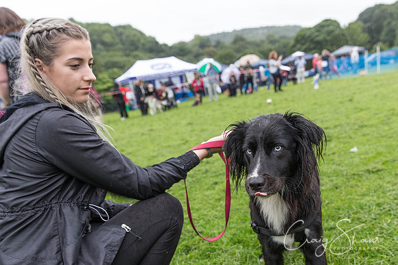518_ShibdenDogDayRSPCAHx_bluplanetphoto