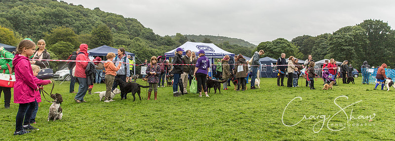 751_ShibdenDogDayRSPCAHx_bluplanetphoto