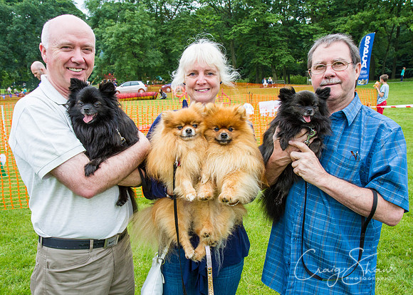 RSPCA Dog Day Afternoon