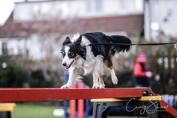 389__SpringersFunDay_March2014_bluplanetphoto