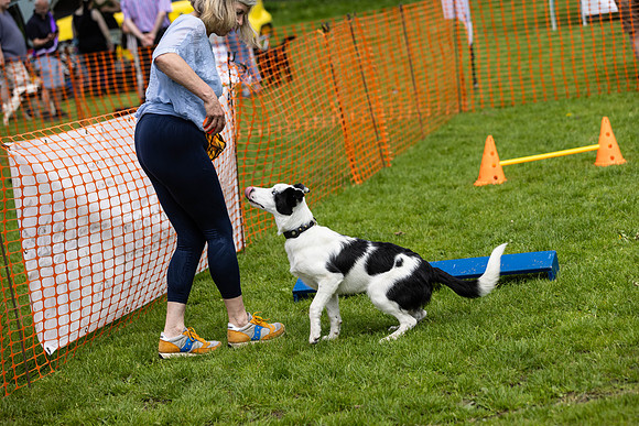 1584_HebdensHappyHounds2024_Cshaw-