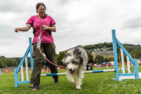 1615_HebdenHappyHounds2016_bluplanetphoto