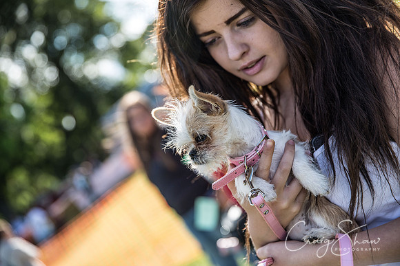 2435_K9Partyinthepark2014_RSPCAHalifax_bluplanetphoto
