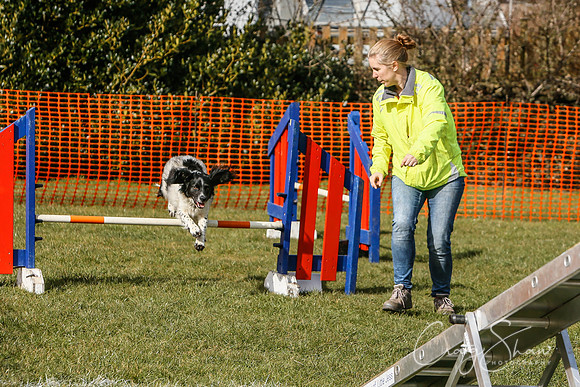 721_SpringersDogClub_FunDay_March2016_craigshaw