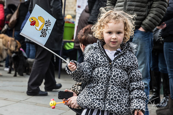 75_duckrace_March2016_craigshawphoto