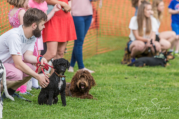 1111_HebdenHappyHounds2016_bluplanetphoto