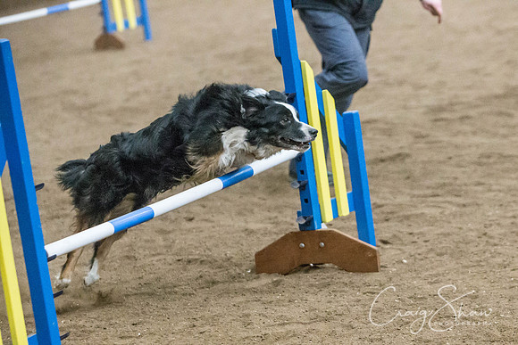 2449_SpringersSpringFling2016_bluplanetphoto