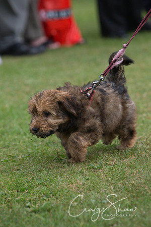 2102_HuddsBarkinthePark2013_bluplanetphoto__D8Q7021