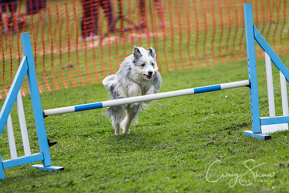 48_HebdenHappyHounds2016_bluplanetphoto