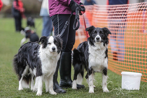 329__SpringersFunDay_March2014_bluplanetphoto