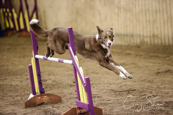 193_SpringFling2014_bluplanetphoto