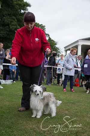 2231_HuddsBarkinthePark2013_bluplanetphoto__D8Q7085
