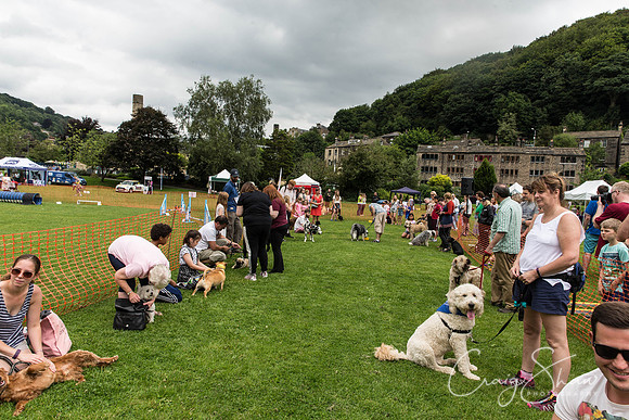 1212_HebdenHappyHounds2016_bluplanetphoto