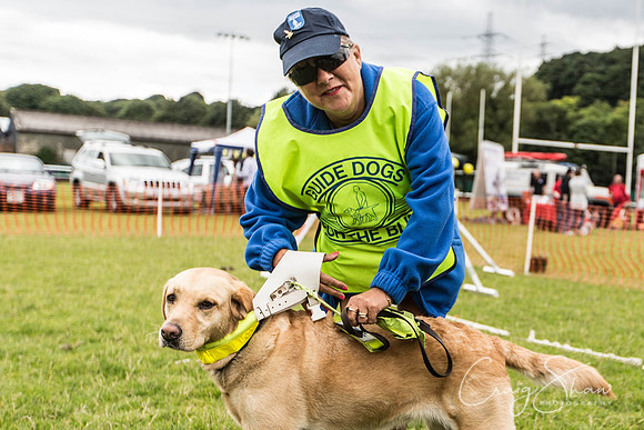 986_WJsDogShow2016_bluplanetphoto