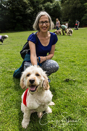 808_HebdenHappyHounds2016_bluplanetphoto