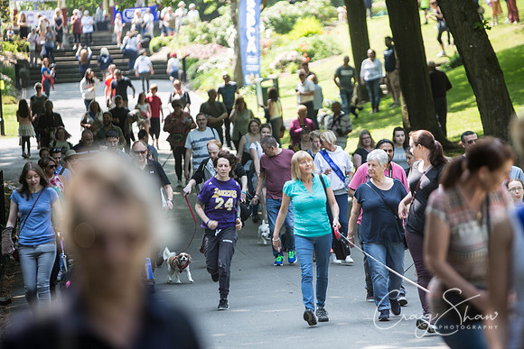 299_DoggyDashHudds2016_craigshawphoto