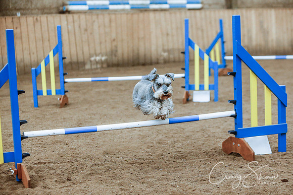 2525_SpringersSpringFling2016_bluplanetphoto