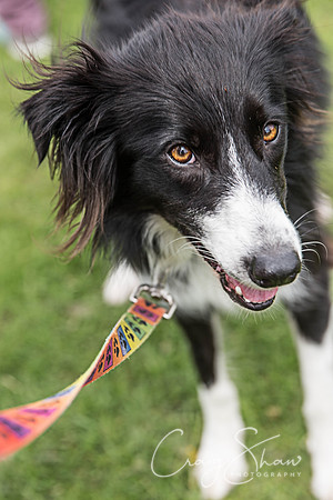 1461_PAWS_FundayJuly2016_bluplanetphoto