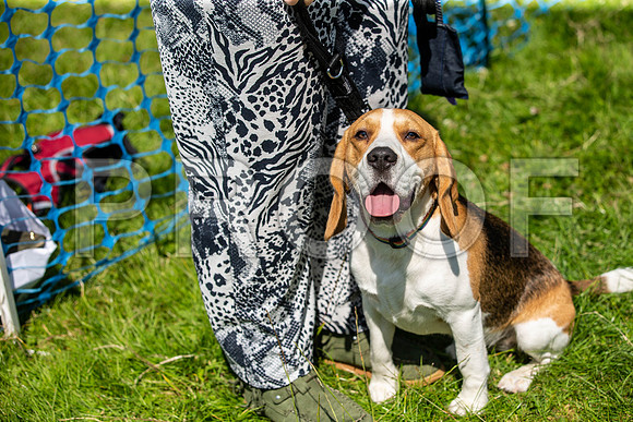 2670__PAWSFundogShow_July2022_cshaw