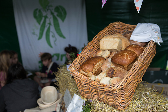417_TodmordenHarvestFest2013_bluplanetphoto
