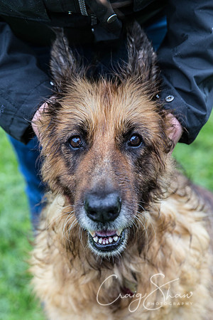 1122_ShibdenDogDayRSPCAHx_bluplanetphoto