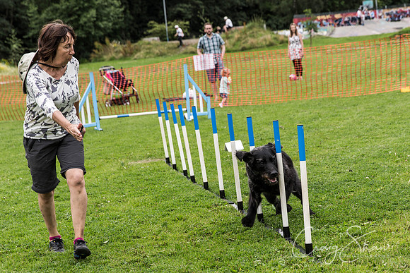 1376_HebdenHappyHounds2016_bluplanetphoto