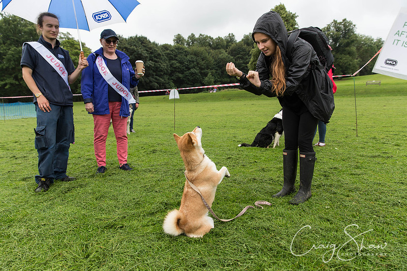 375_ShibdenDogDayRSPCAHx_bluplanetphoto