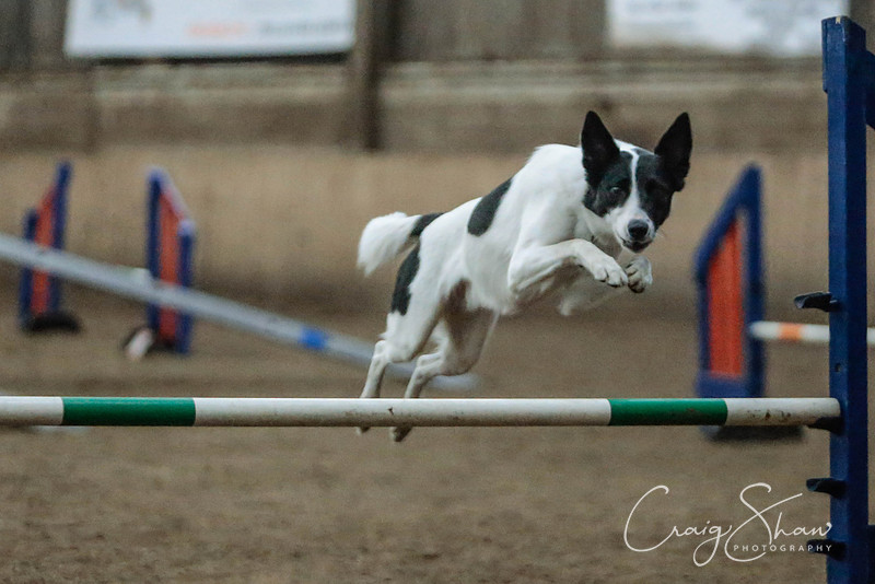 245_SpringersSpringFling2016_bluplanetphoto