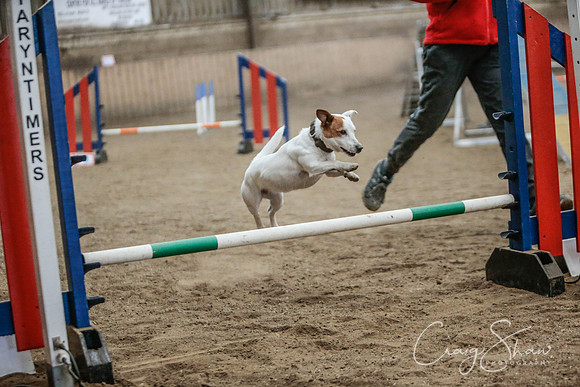 2543_SpringersSpringFling2016_bluplanetphoto