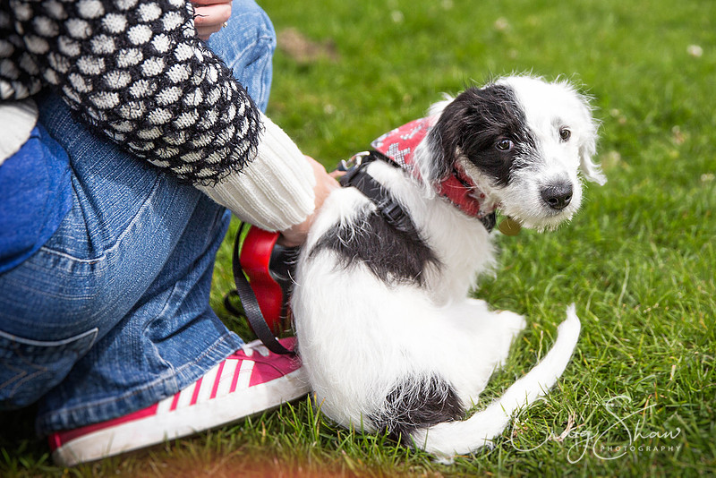 327_PAWS_FundayJuly2016_bluplanetphoto