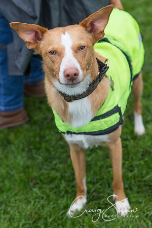 701_ShibdenDogDayRSPCAHx_bluplanetphoto