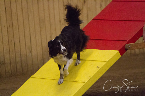 spring fling 2012-988