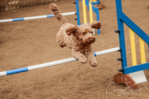 2395_SpringersSpringFling2016_bluplanetphoto
