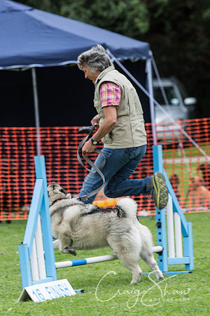 884_HebdenHappyHounds2016_bluplanetphoto