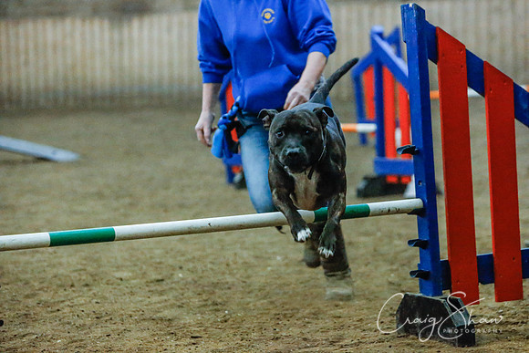 185_SpringersSpringFling2016_bluplanetphoto