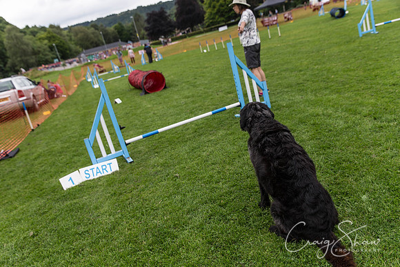 1359_HebdenHappyHounds2016_bluplanetphoto