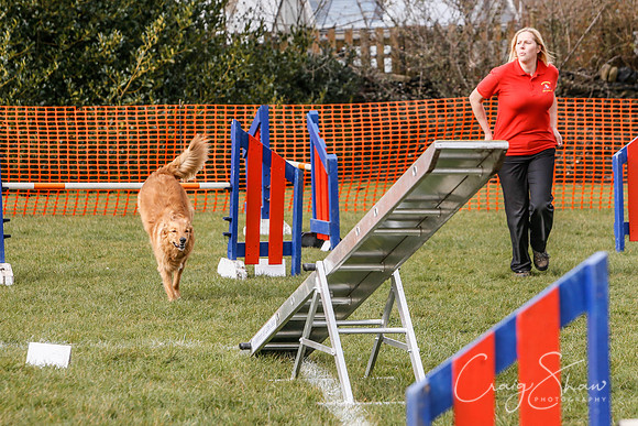 1039_SpringersDogClub_FunDay_March2016_craigshaw