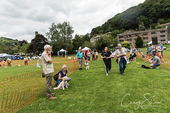 730_HebdenHappyHounds2016_bluplanetphoto