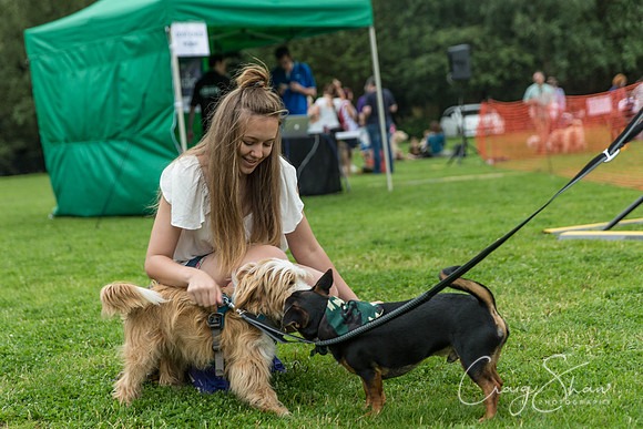 981_HebdenHappyHounds2016_bluplanetphoto