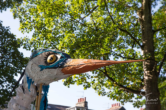 24_SkiptonPuppetFestival2013_Sunday_bluplanetphoto-Edit