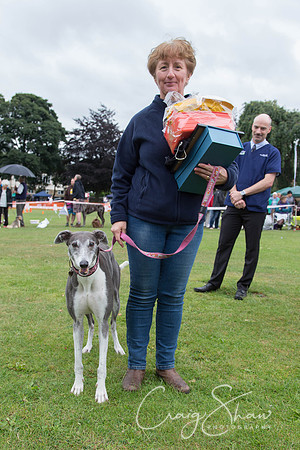 1994_HuddsBarkinthePark2013_bluplanetphoto__D8Q6922