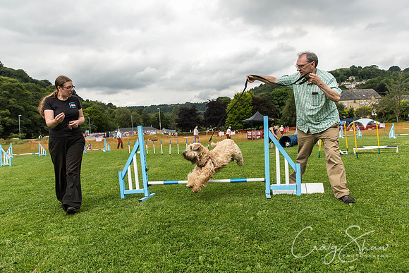 1088_HebdenHappyHounds2016_bluplanetphoto