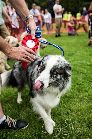 1344_HebdenHappyHounds2016_bluplanetphoto