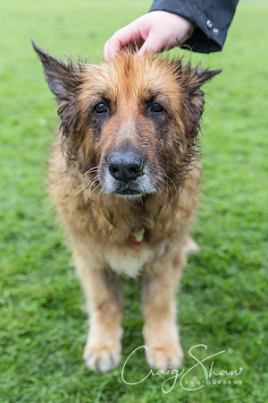 1103_ShibdenDogDayRSPCAHx_bluplanetphoto