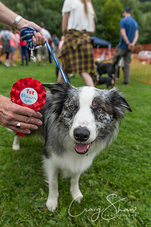 1354_HebdenHappyHounds2016_bluplanetphoto