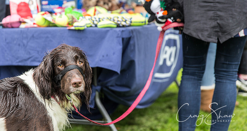 1226_ShibdenDogDayRSPCAHx_bluplanetphoto