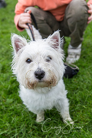 913_ShibdenDogDayRSPCAHx_bluplanetphoto