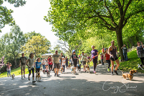 275_DoggyDashHudds2016_craigshawphoto