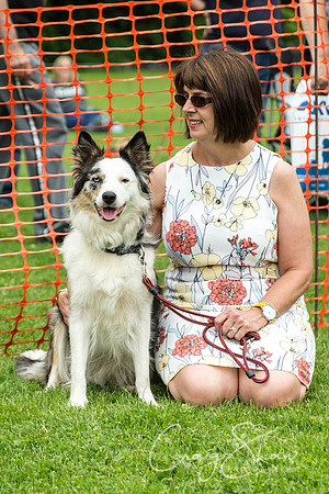 1544_HebdenHappyHounds2016_bluplanetphoto